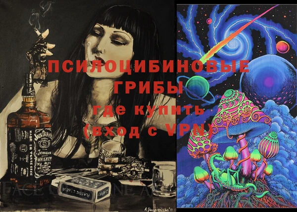 тгк Алексин